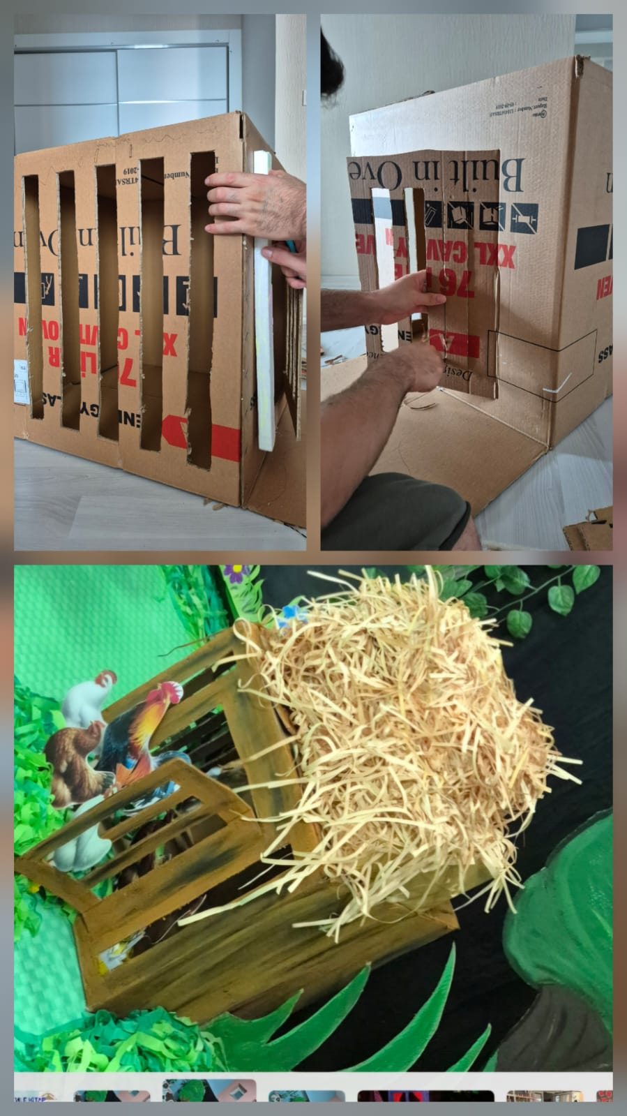 Proje